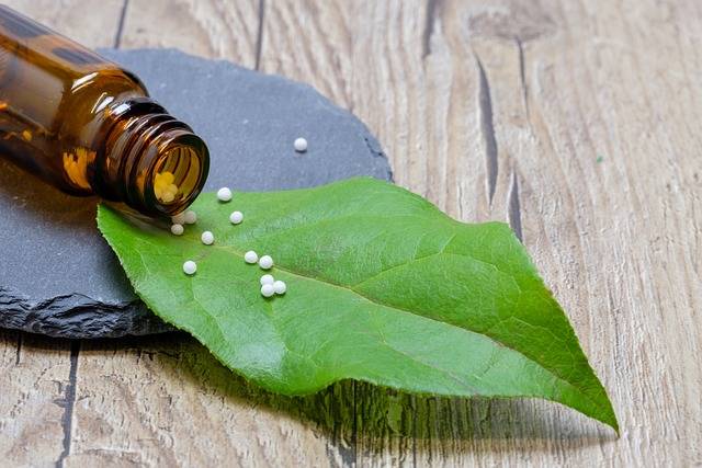 Les différentes voies pour devenir naturopathe : laquelle choisir ?